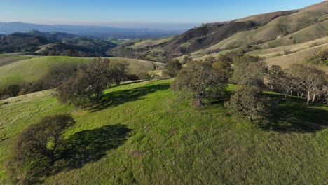 drone shot of green rolling hills with oak trees, mount diablo state park, walnut creek california