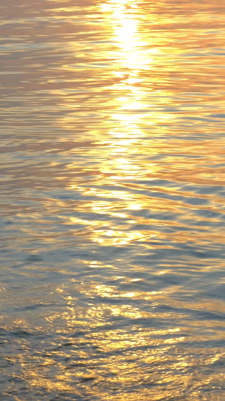 Golden reflections on the water