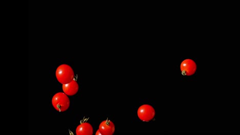falling cherry tomatoes