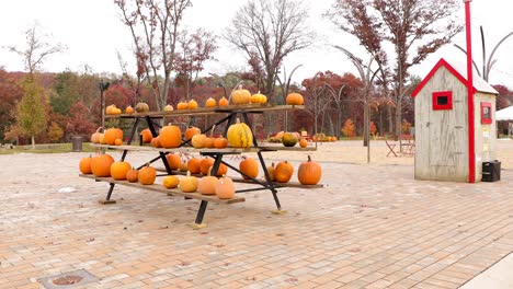 Calabazas-A-La-Venta-En-Parque-Urbano-En-Altoona,-Wisconsin