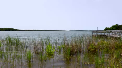 static video of lake murray in oklahoma. grass is seen in front and a dock to the right