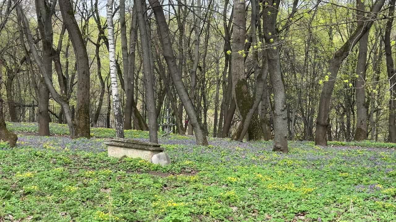 A lonely old tombstone in an abandoned cemetery
