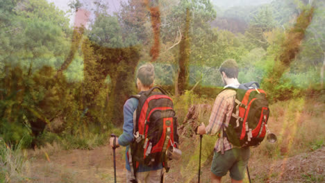 Animation-of-grass-over-caucasian-couple-hiking-through-forest