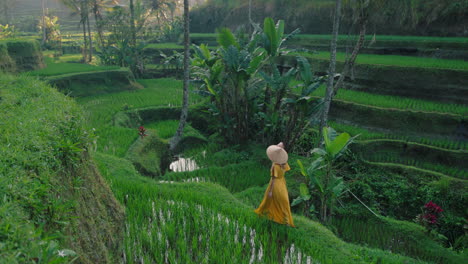 travel woman in rice paddy wearing yellow dress with hat exploring lush green rice terrace walking in cultural landscape exotic vacation through bali indonesia discover asia