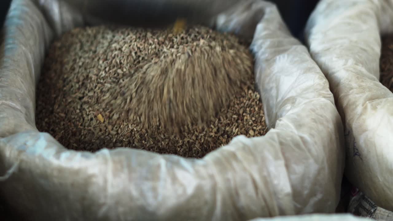 Ajwain, ajowan, or Trachyspermum ammi also known as ajowan caraway, omam, thymol seeds, bishop's weed, or carom is an annual herb in the family Apiaceae