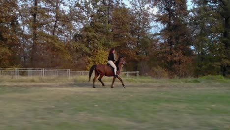 Aerial-shot-of-girl-ride-horse-in-grass-field