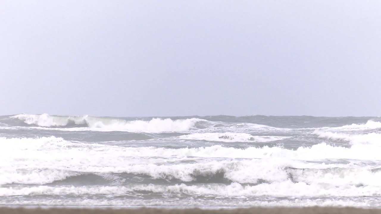 일련의 샷 바람이 많이 부는 네덜란드의 네덜란드 해변 섬 테르셀링의 겨울 휴가