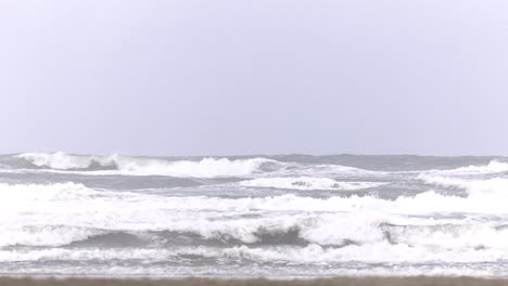 serie of shots windy winter holliday in the netherlands on the dutch beach island terschelling