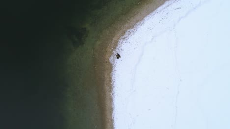 top down aerial, man walks along bohinj lakeside in winter, slovenia