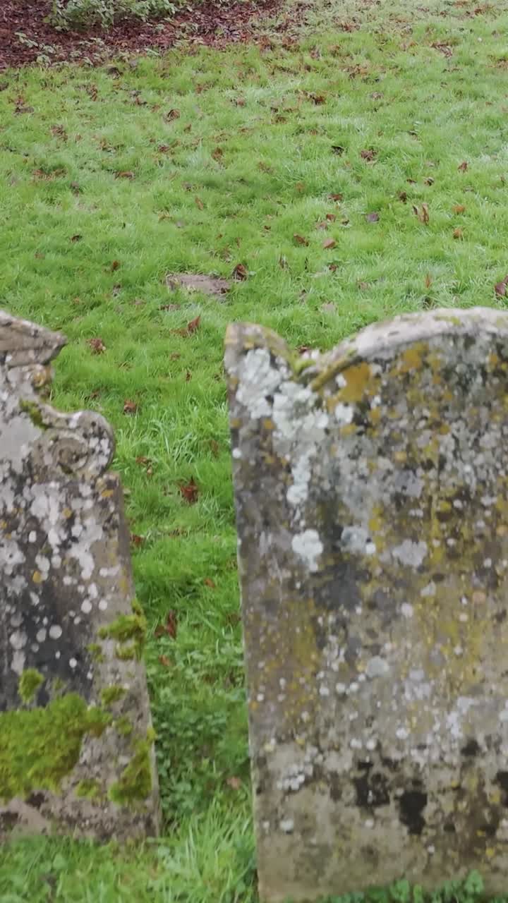 Vertical haunting drone flight over 19th-century gravestones in serene grassy cemetery