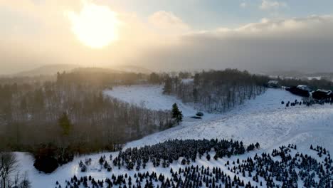 aerial-pullout-winter-scene-over-christmas-tree-farm-near-boone-nc,-north-carolina