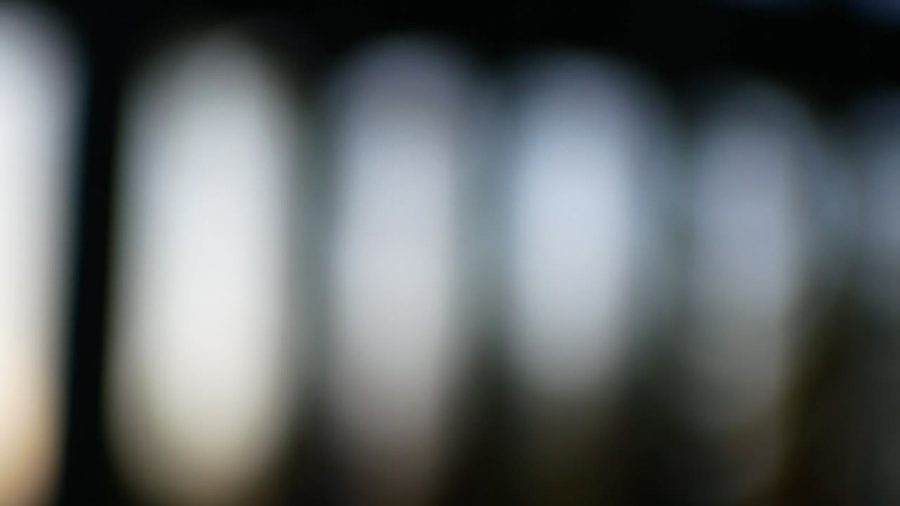 Sunlight curls the fence. Abstraction