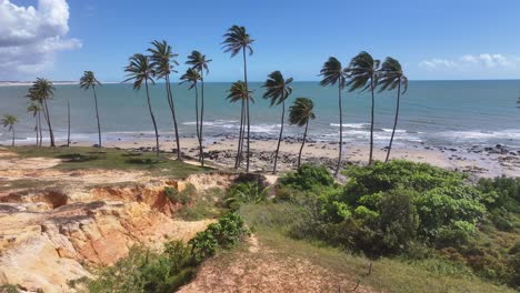 lagoinha beach at paraipaba in ceara brazil. beach skyline. nature landscape. summer travel. lagoinha beach at paraipaba in ceara brazil. tropical scenery