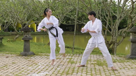 couple practising martial arts together