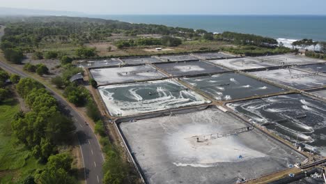vista aérea, cautiverio o estanque de camarones en el sur de yogyakarta en la costa de samas