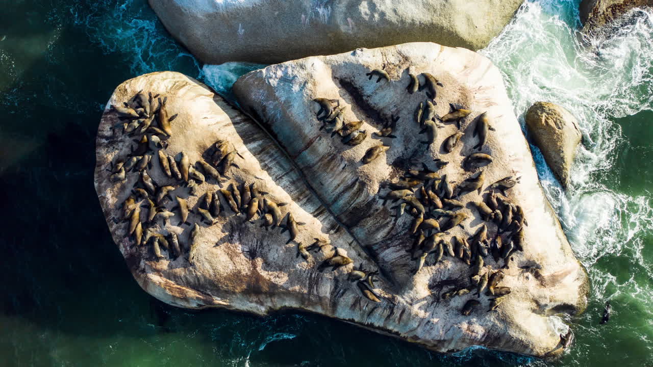 바위 위에 혀 있는 봉인