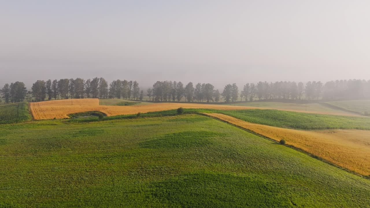 Aerial farmland in Northern Poland symbolizing peace nature and resilience