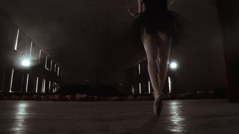 slow motion: close-up of the ballerina's legs in the pounts and smooth movement of the camera along the vertical axis. portrait of a ballerina