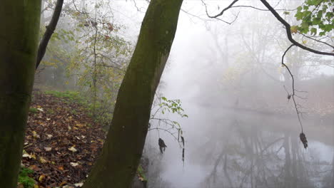 Ein-Zeitlupen-Kamerawagen-Von-Links-Nach-Rechts-An-Einem-Baum-Vorbei-Zeigt-Eine-Atmosphärische-Szene-Von-Dichtem-Nebel,-Der-An-Einem-Kalten-Wintermorgen-über-Einem-Fluss-Hängt