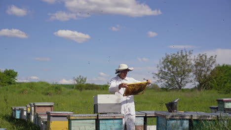 beekeeper takes out frame with honey for harvesting. apiarist working near wooden beehives on beautiful summer nature background. apiculture.