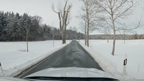 driving fast through a winter landscape with an avenue full of snow covered trees next to the wet road