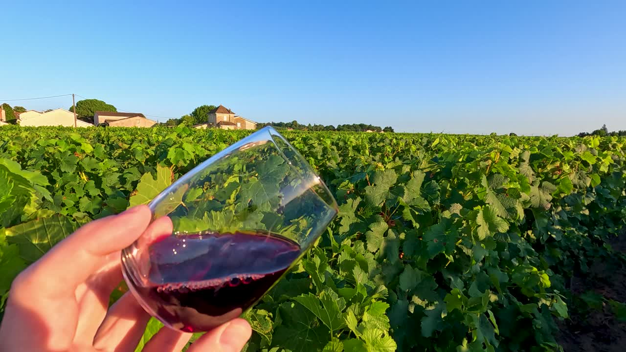 Bicchiere di vino che ruota in un lussureggiante paesaggio di vigneti