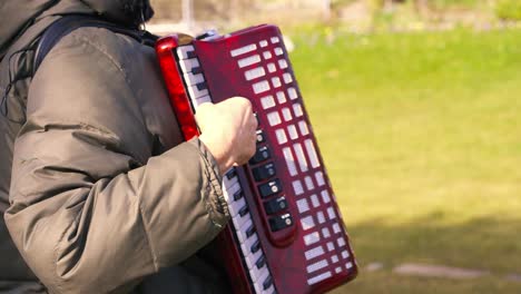 accordion street player at outdoor park plays music with keyboard, profile view