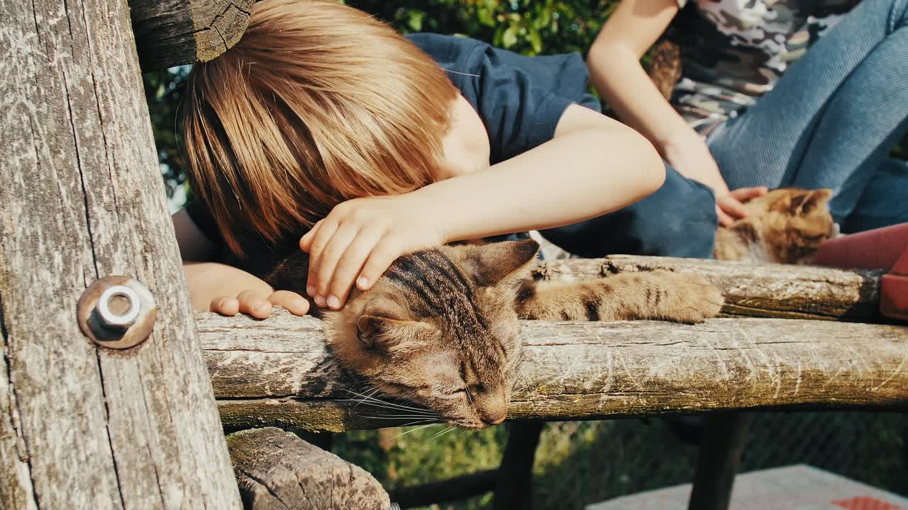 Child gently petting a cat lying on a wooden garden swing seat in a sunny rural setting. Calm and tender interaction, capturing a peaceful moment of rest and affection outdoors. Mid shoot.