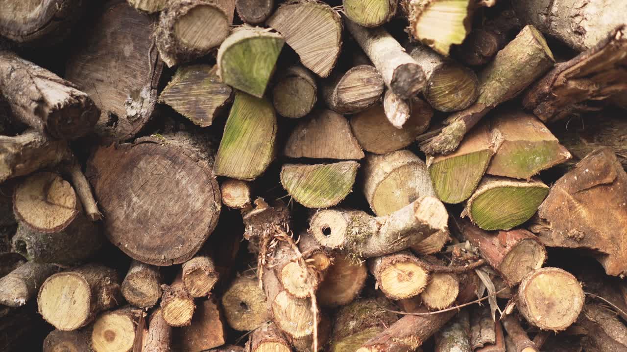Pile of stacked wood logs