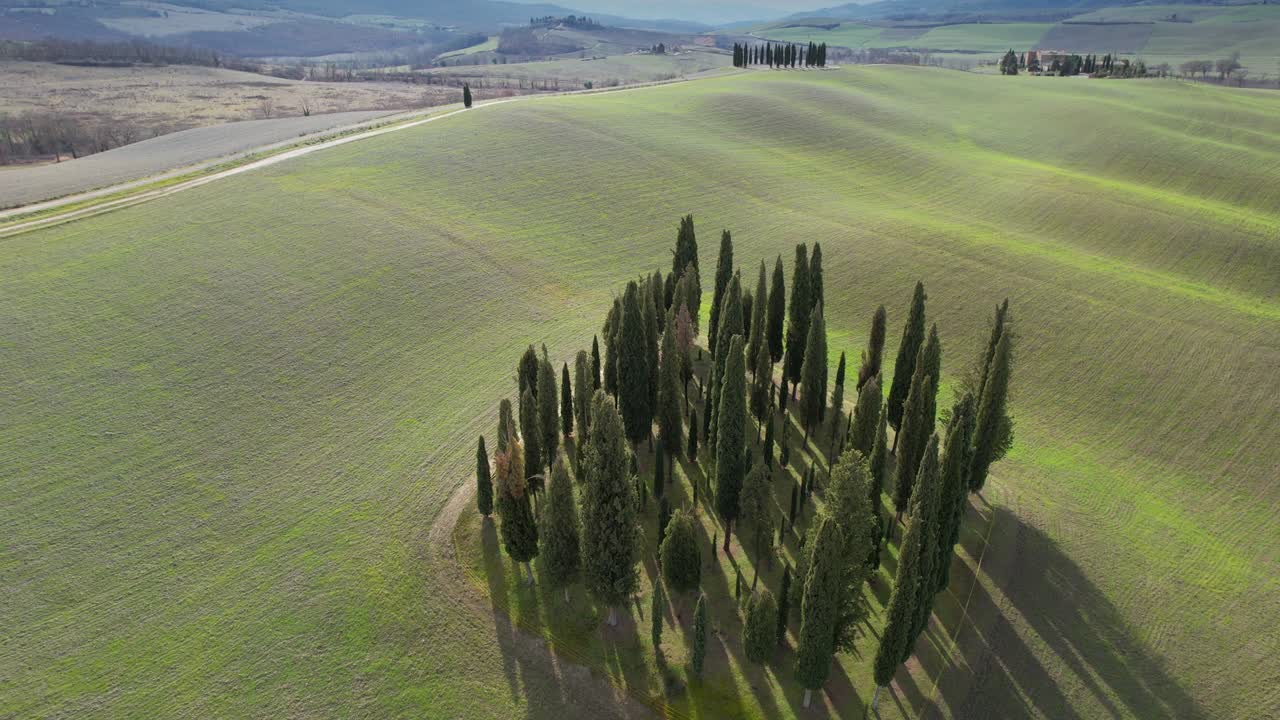 토스카니의 산키리코 드 오르시아 근처에 있는 사이프러스 나무 그룹. 이탈리아의 드 오르시아에 있는 사이퍼스 나무의 원형 공중 사진