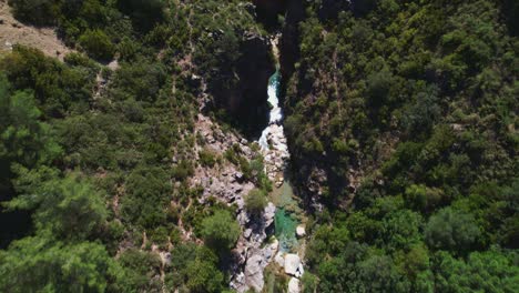 aerial view at low level and revealing a high mountain stream and river within the forest