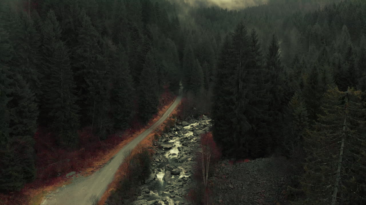Misty Mountain Forest Road and Creek