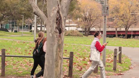 people walking in a park during rush hour