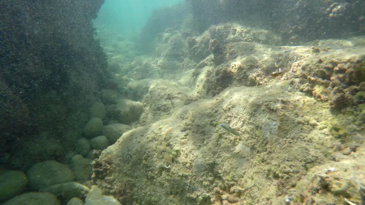 Mand snorkler med hovedet over vandet, dykker under vandet og dykker derefter gennem en passage mellem klipper