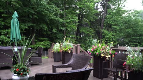 woodland porch after a storm, light rain