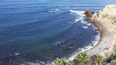 Aerial-Shot-of-rocky-beach-on-the-Palos-Verdes-Coastline-descending-behind-5-large-palm-trees-along-cliffs