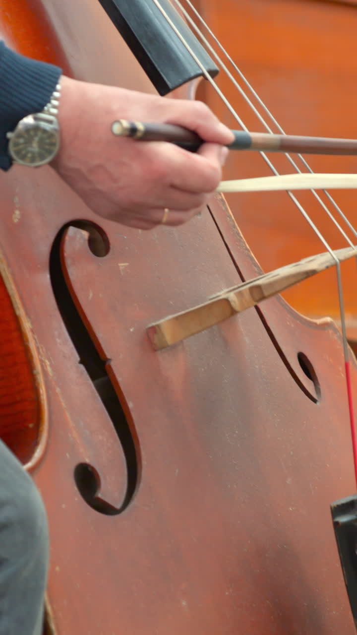 Close-up of a Musician Playing a Double Bass with a Bow