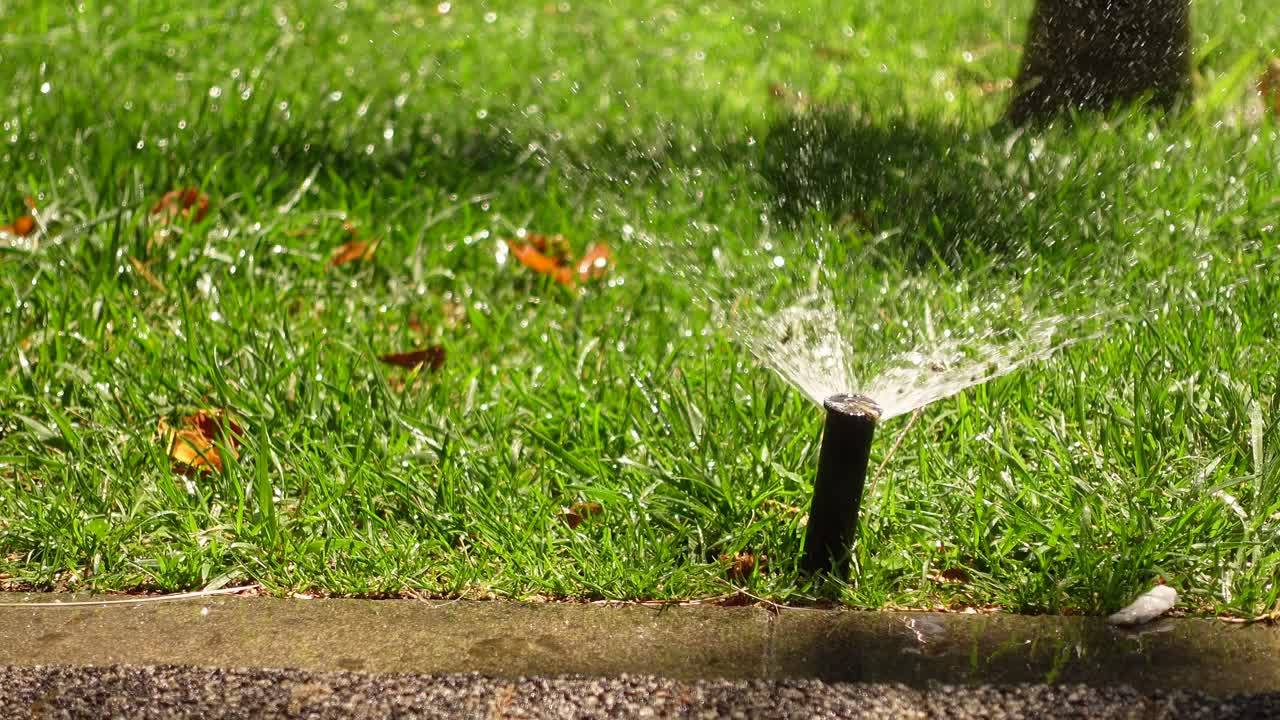 Watering the lawn with a sprinkler
