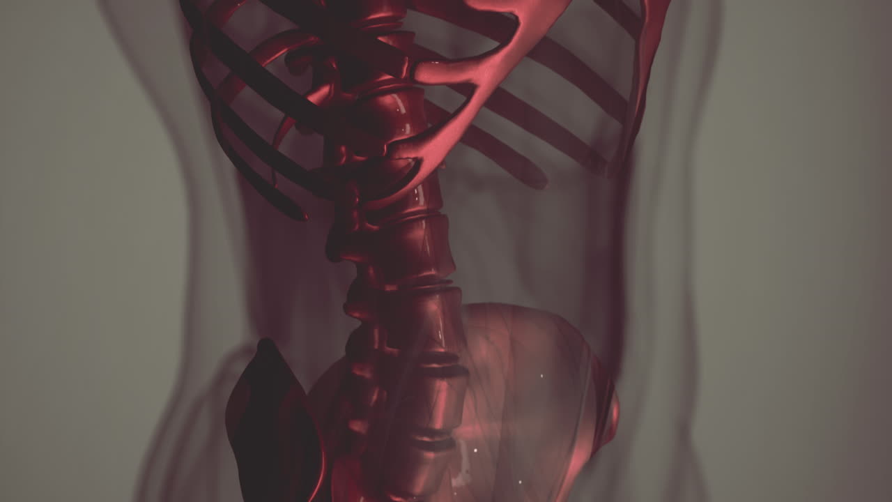 인간  ⁇ 의 3d 렌더링 된 의학 애니메이션