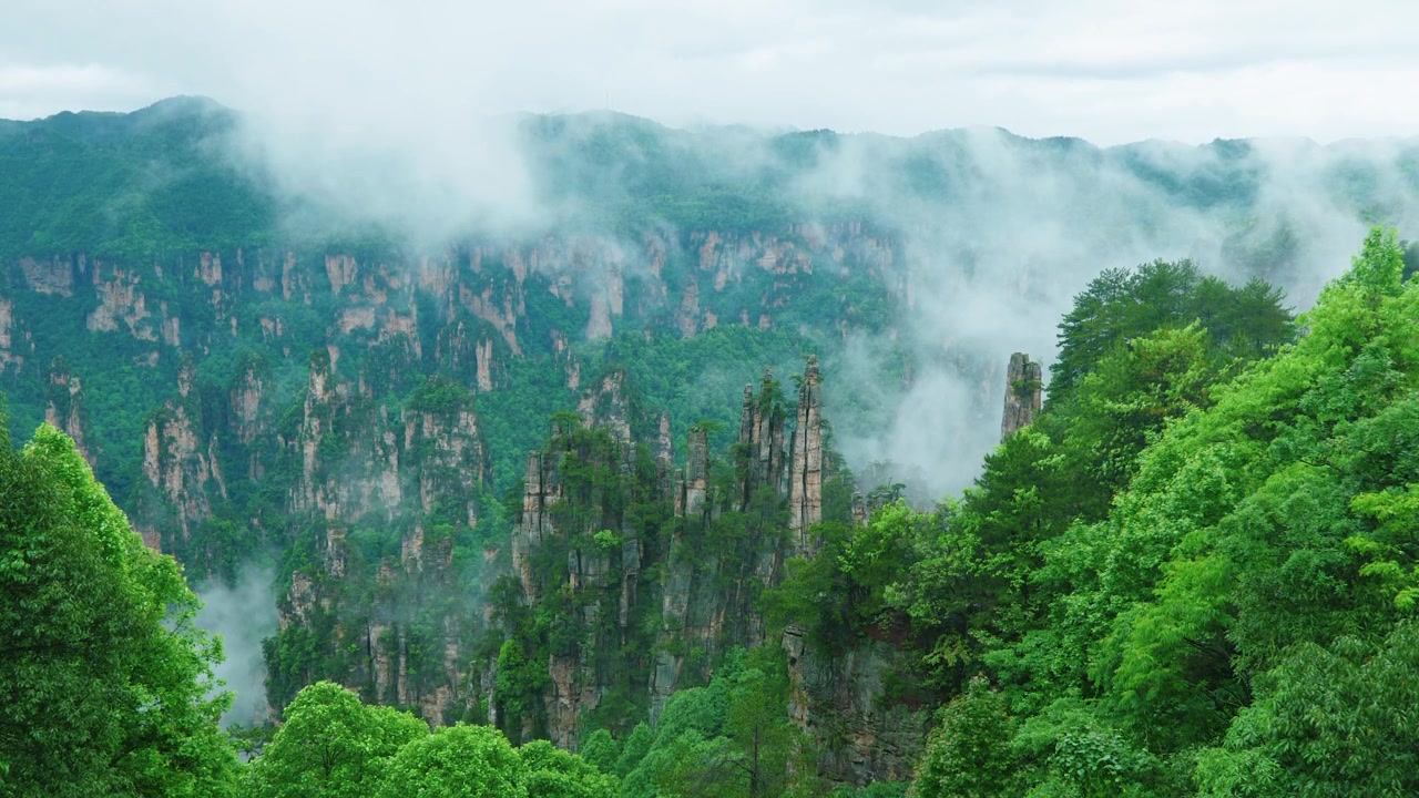 Ampia inquadratura statica di un vasto canyon montuoso di arenaria con nuvole che si muovono dolcemente sopra le cime della foresta.