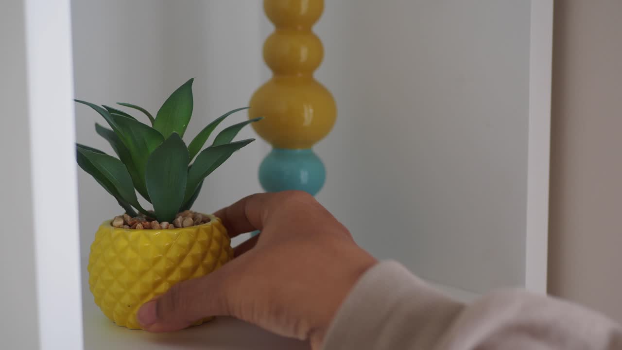closeup de una mano sosteniendo una planta de piña en un estante con una vela amarilla