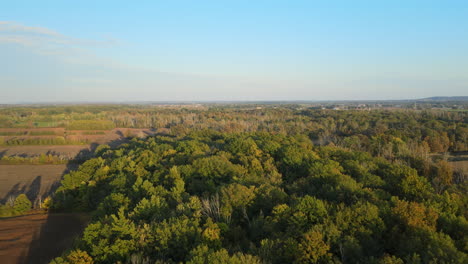 aerial panoramic view of beautiful forest nature park landscape in autumn fall season at sunny morning, colorful vast green lands vegetation and trees, blue skyline in horizon