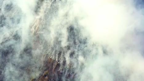 drones volando sobre la naturaleza ardiente, un espeso humo blanco que se eleva en forma de incendio forestal