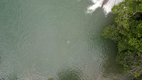 hombre nadando en la base de la cascada roberto barrios en chiapas, méxico, desde el aire hacia abajo