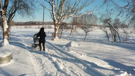 Cochecito-De-Bebé-De-Empuje-Femenino-En-Camino-De-Campo-Nevado,-Invierno-Soleado