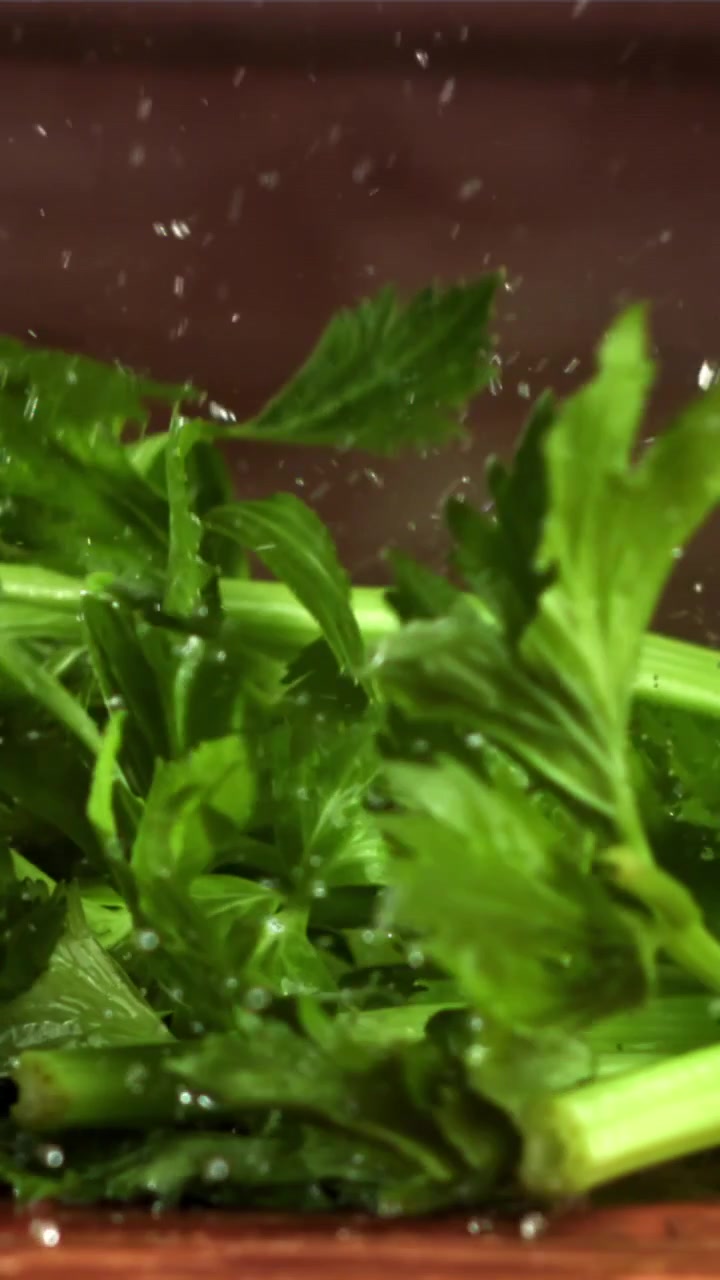 Sedano verde fresco che cade e schizza nell'acqua al rallentatore