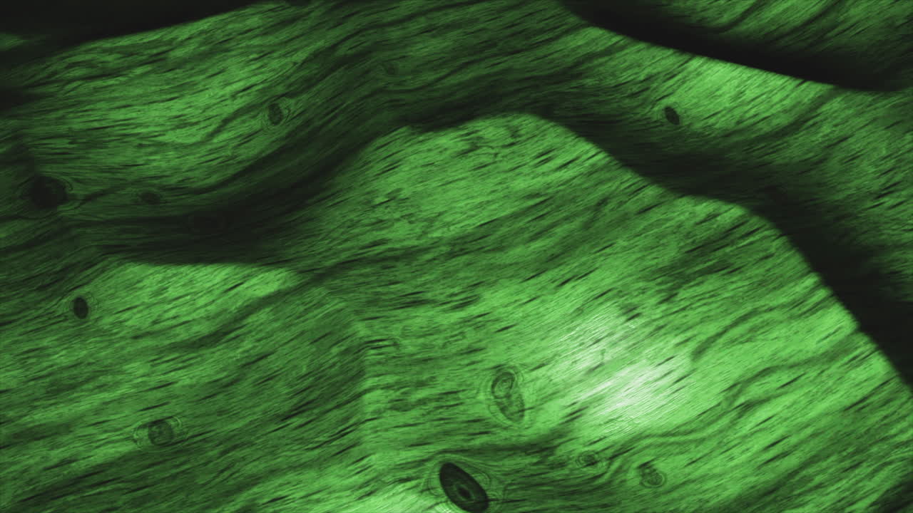 fondo de textura de madera verde