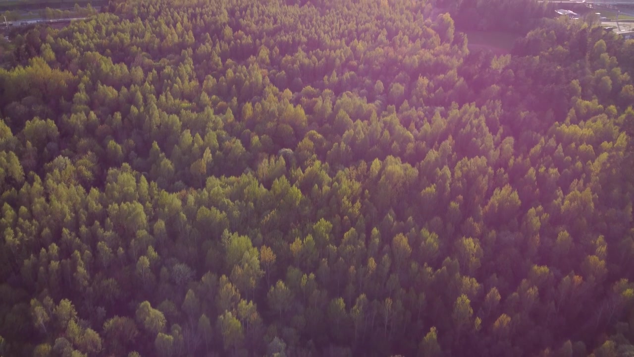 Luftfoto af Vilnius Skovpark overflyvning, Litauen