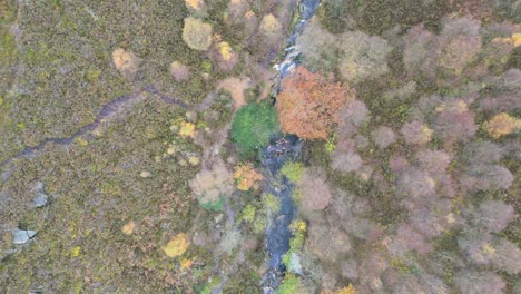 imágenes aéreas de drones de un río volando a través de una escena de páramo