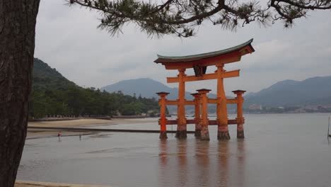 la puerta flotante del santuario torii itsukushima en la isla de miyajima con un árbol, prefectura de hiroshima